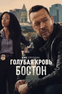 Голубая кровь: Бостон 1 сезон